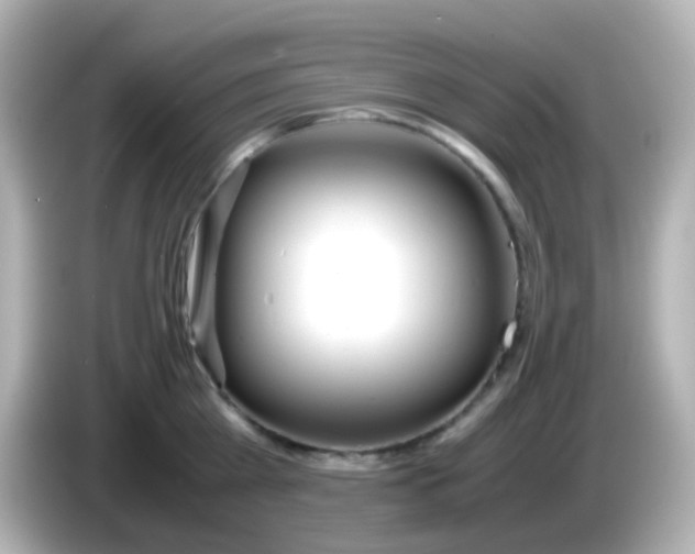 X0000086040809200704091149