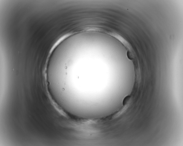 X0000086040814200704091149
