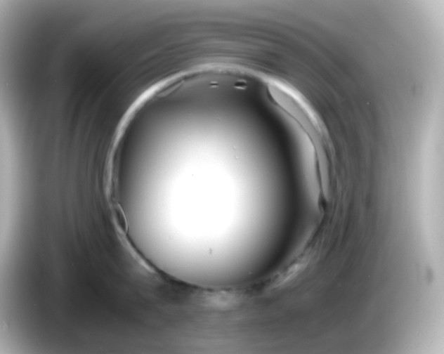 X0000086040815200704091149