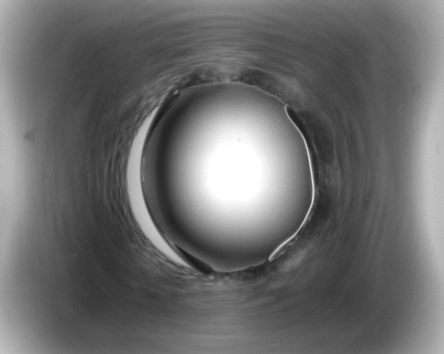 X0000086040818200704091149