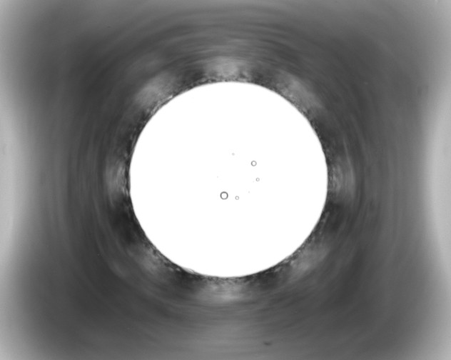 X0000086040820200704091149