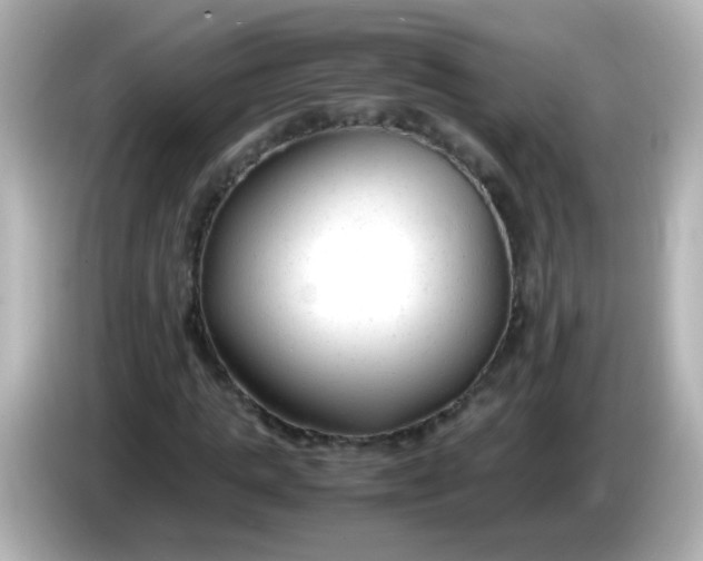 X0000086040821200704091149