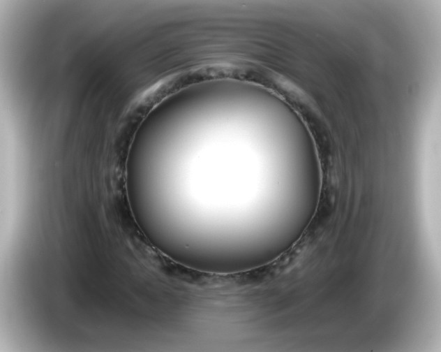 X0000086040822200704091149