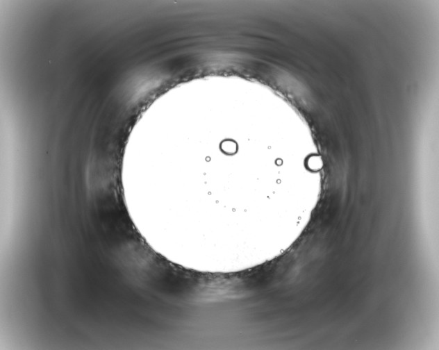 X0000086040824200704091149