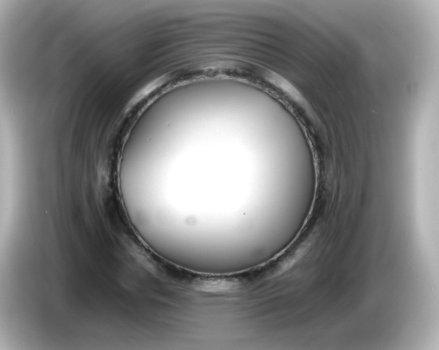 X0000086040826200704091149