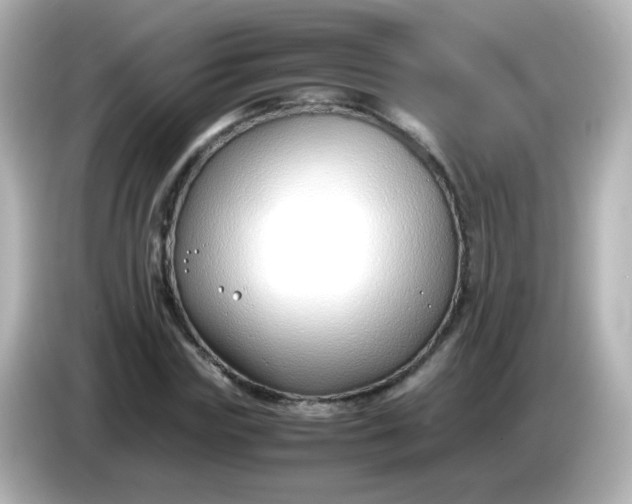 X0000086040827200704091149