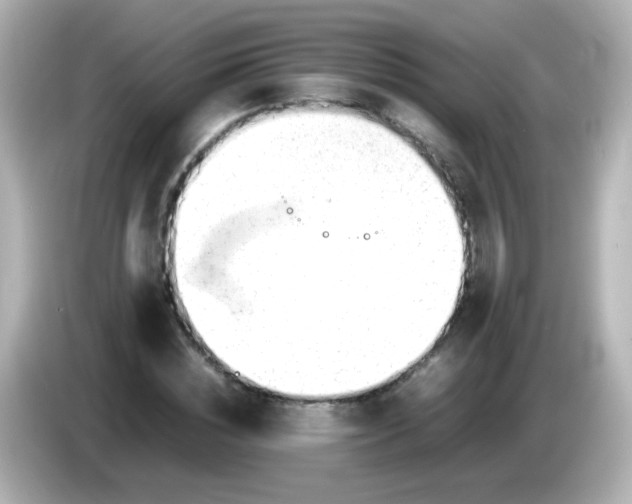 X0000086040828200704091149