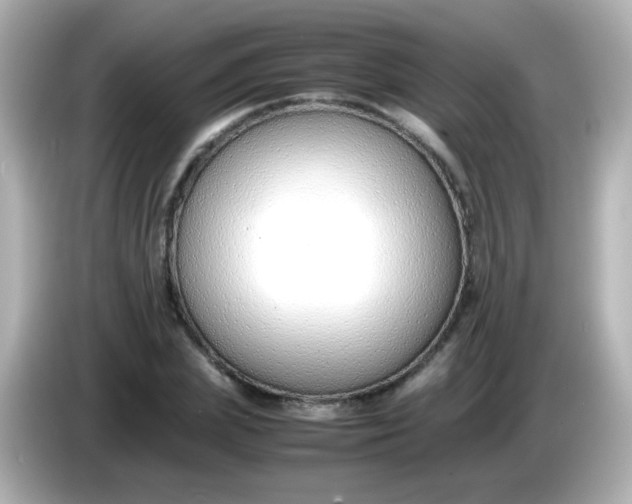 X0000086040831200704091149