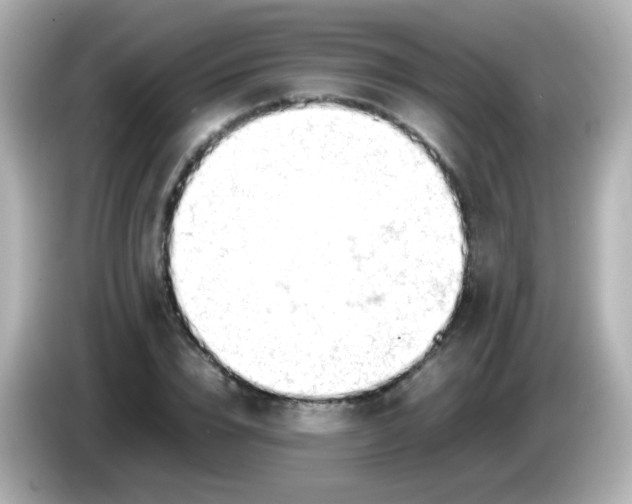 X0000086040832200704091149