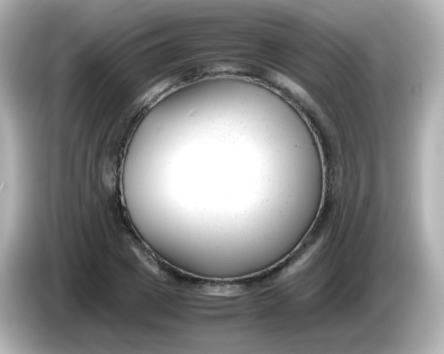 X0000086040833200704091149