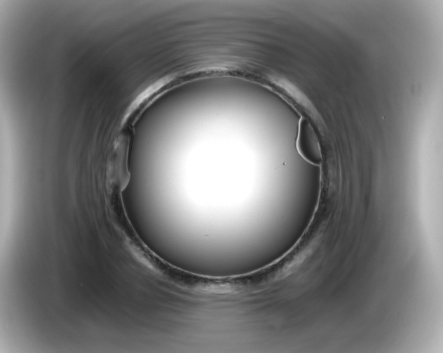 X0000086040834200704091149