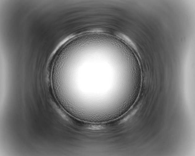 X0000086040835200704091149