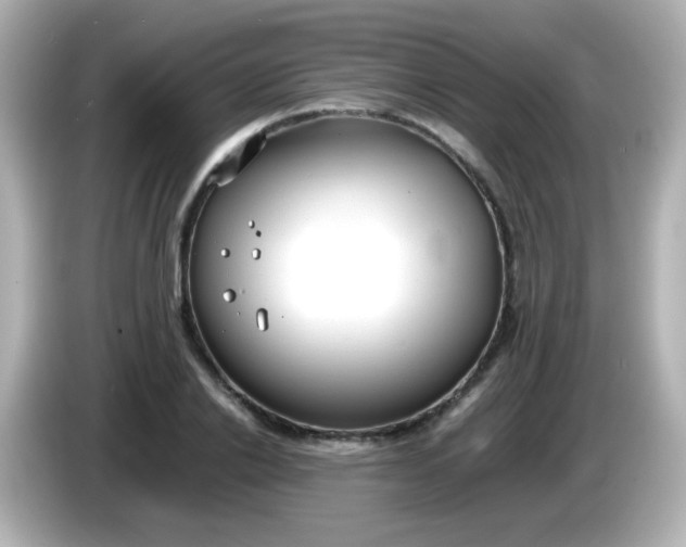 X0000086040838200704091149