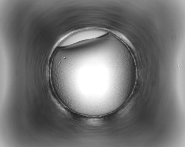 X0000086040839200704091149