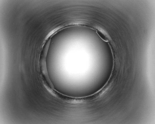 X0000086040842200704091149