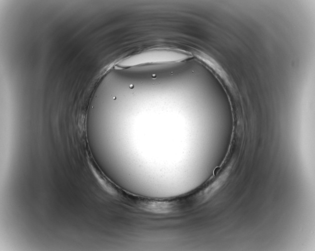 X0000086040849200704091149