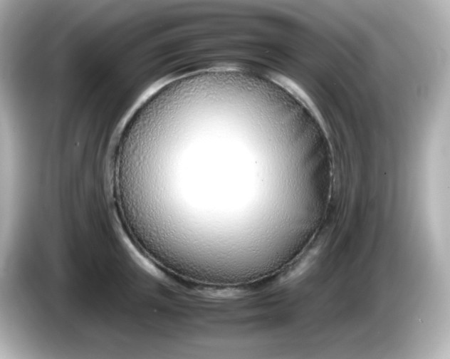 X0000086040851200704091149