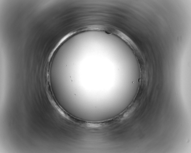 X0000086040852200704091149