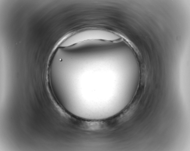 X0000086040853200704091149