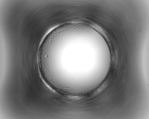 X0000086040855200704091149