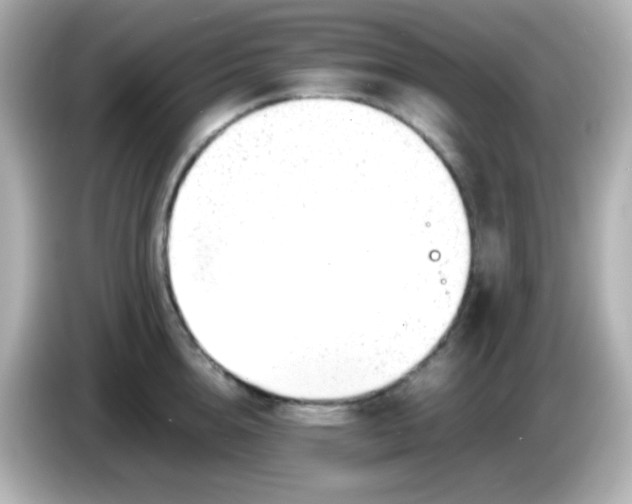 X0000086040856200704091149