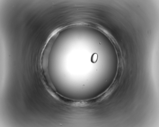 X0000086040858200704091149