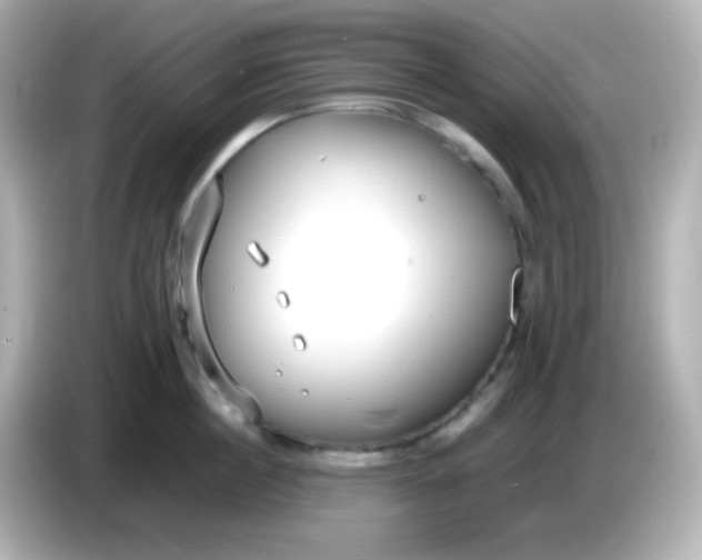 X0000086040860200704091149