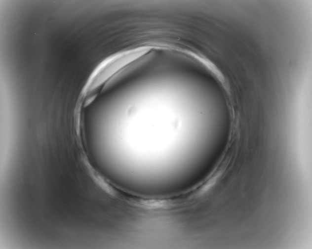 X0000086040862200704091149