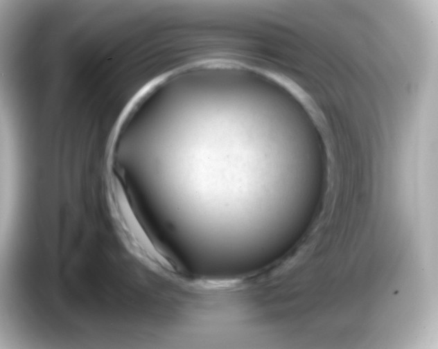 X0000086040864200704091149