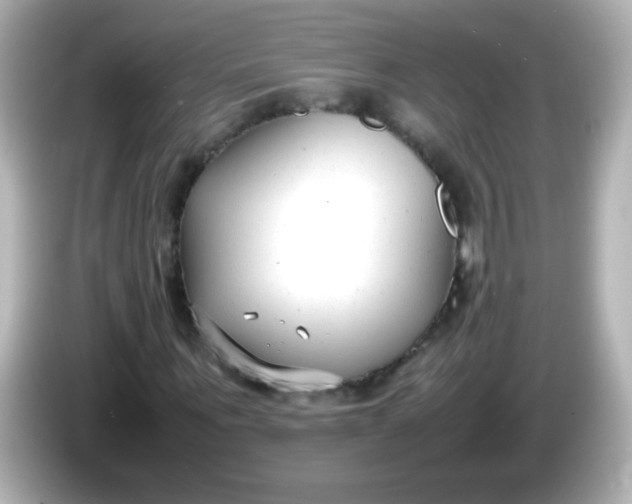 X0000086040867200704091149