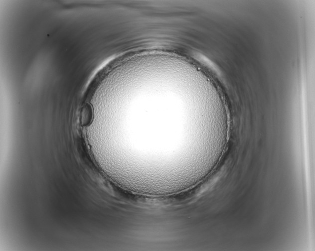 X0000086040875200704091149