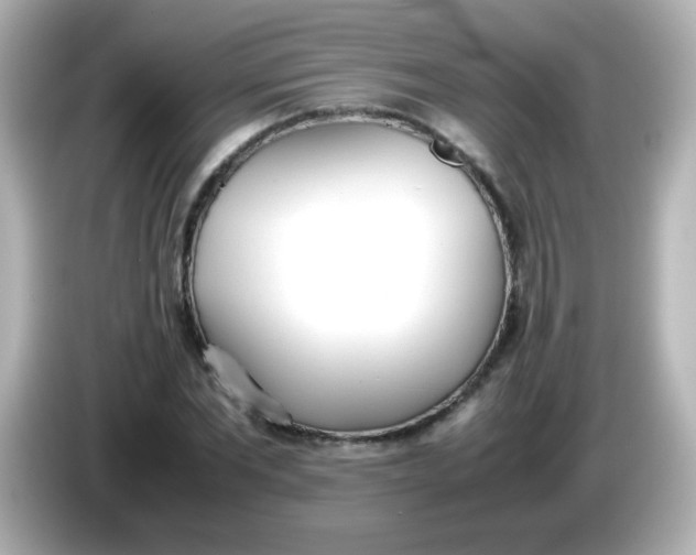 X0000086040877200704091149