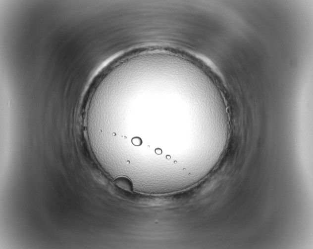 X0000086040879200704091148