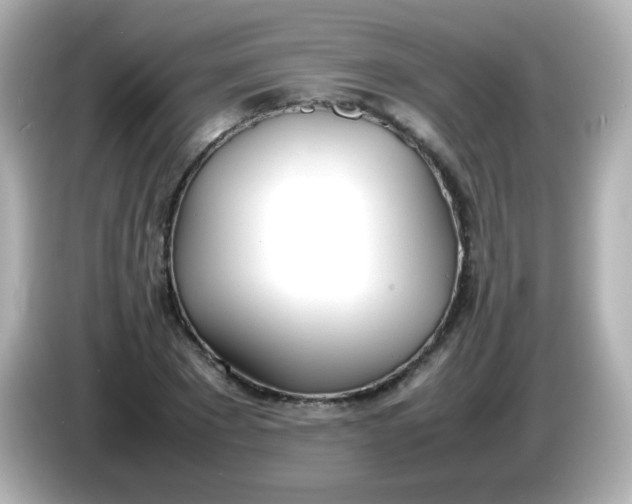 X0000086040881200704091148