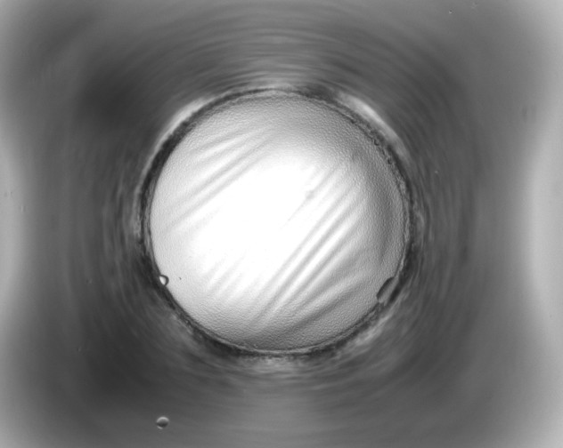 X0000086040883200704091148