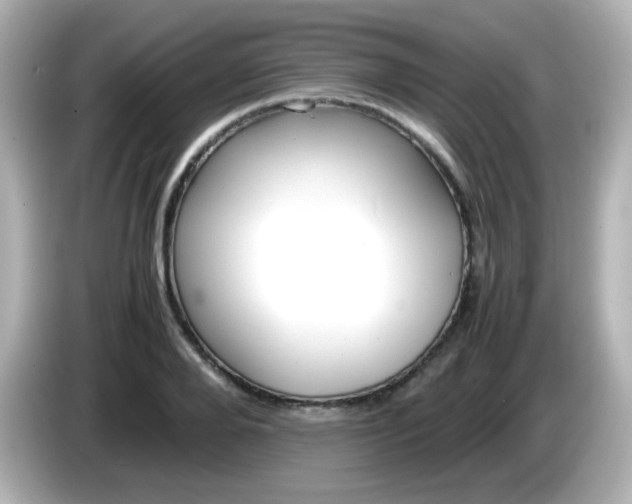 X0000086040888200704091148