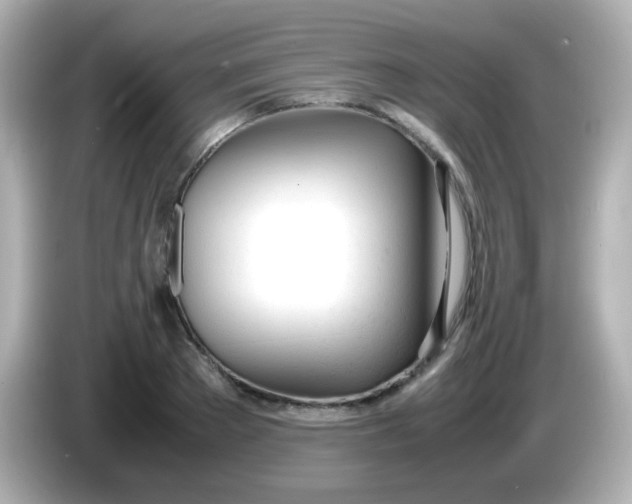 X0000086040889200704091148