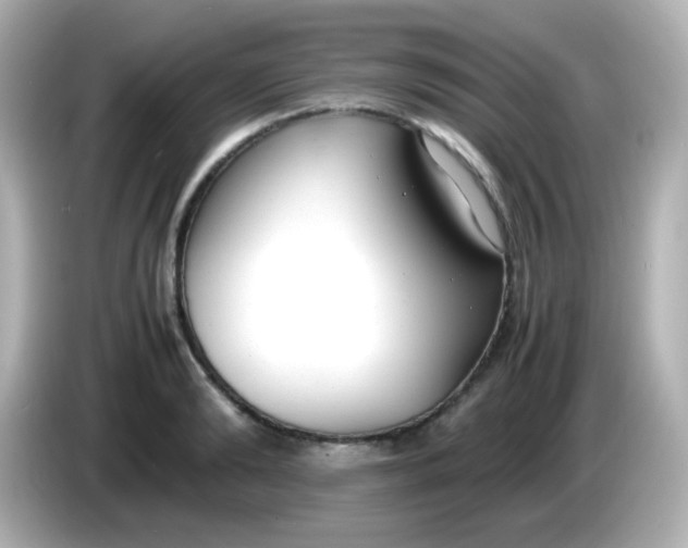 X0000086040894200704091148