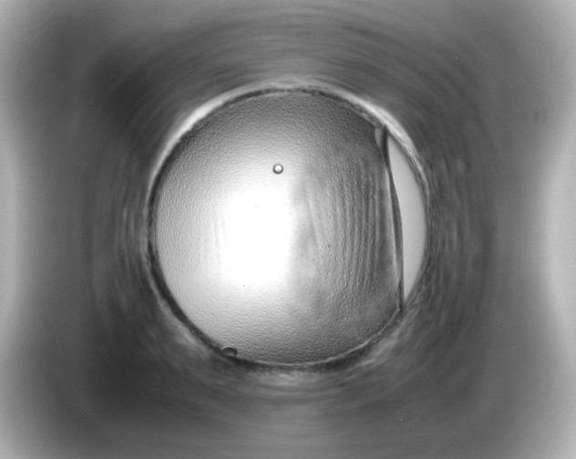 X0000086040895200704091148