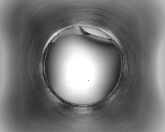 X0000086040896200704091148