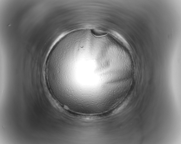 X0000086040899200704091148