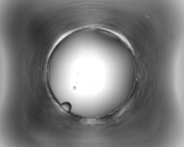 X0000086040903200704091148