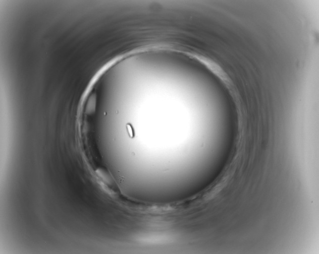 X0000086040912200704091148