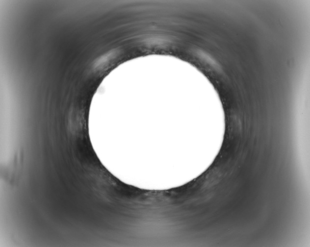 X0000086040918200704091148