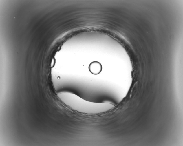X0000086040920200704091148