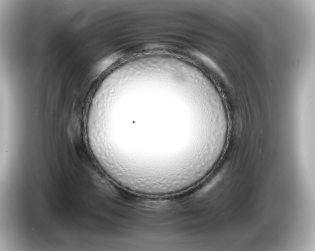 X0000086040921200704091148