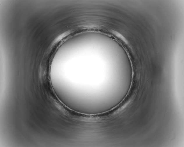 X0000086040922200704091148