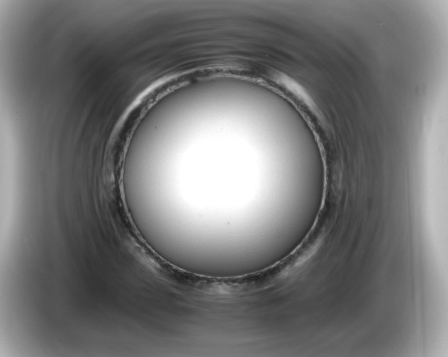 X0000086040923200704091148