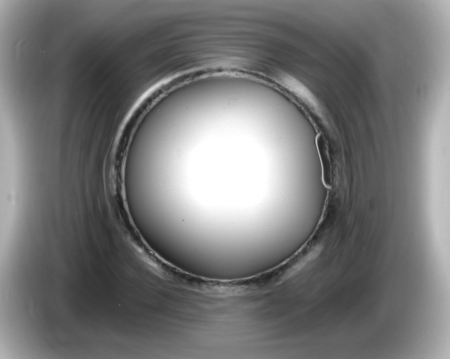 X0000086040924200704091148