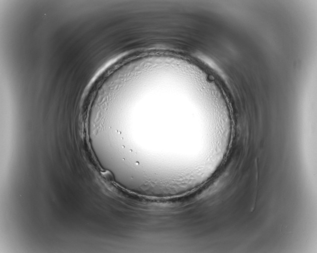 X0000086040925200704091148